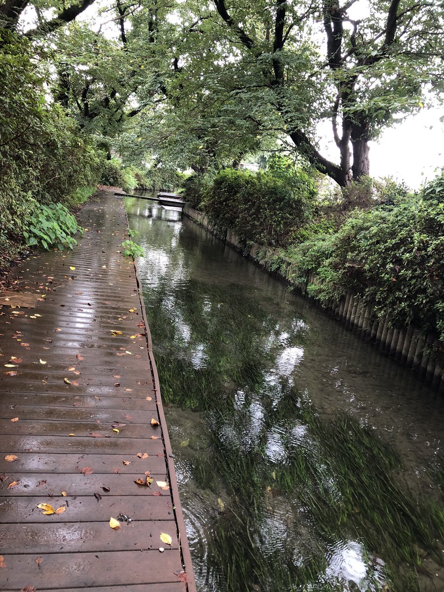 ドラマすいか ドラマすいか