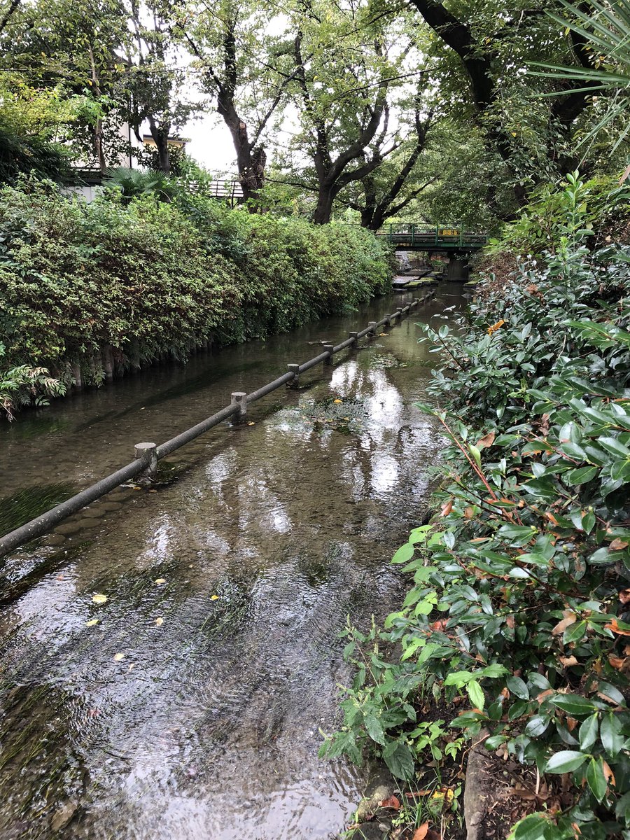 ドラマすいか ドラマすいか