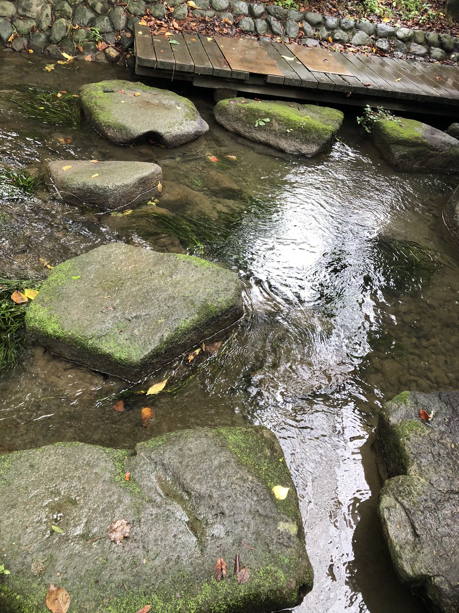 ドラマすいか ドラマすいか