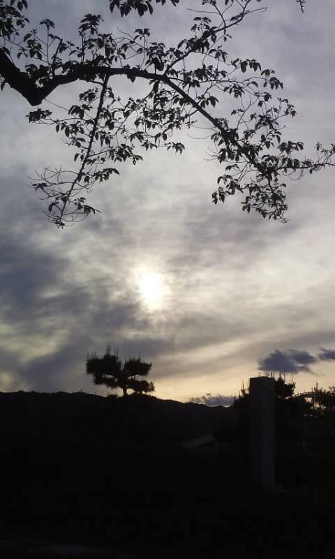 個人的にめちゃくちゃ綺麗に撮れた写真Σd(・ω・*)
#写真好きな人と繋がりたい #自然
#木々 #綺麗な写真 #写真で伝えたい私の世界 https://t.co/fMwrCgohsZ
