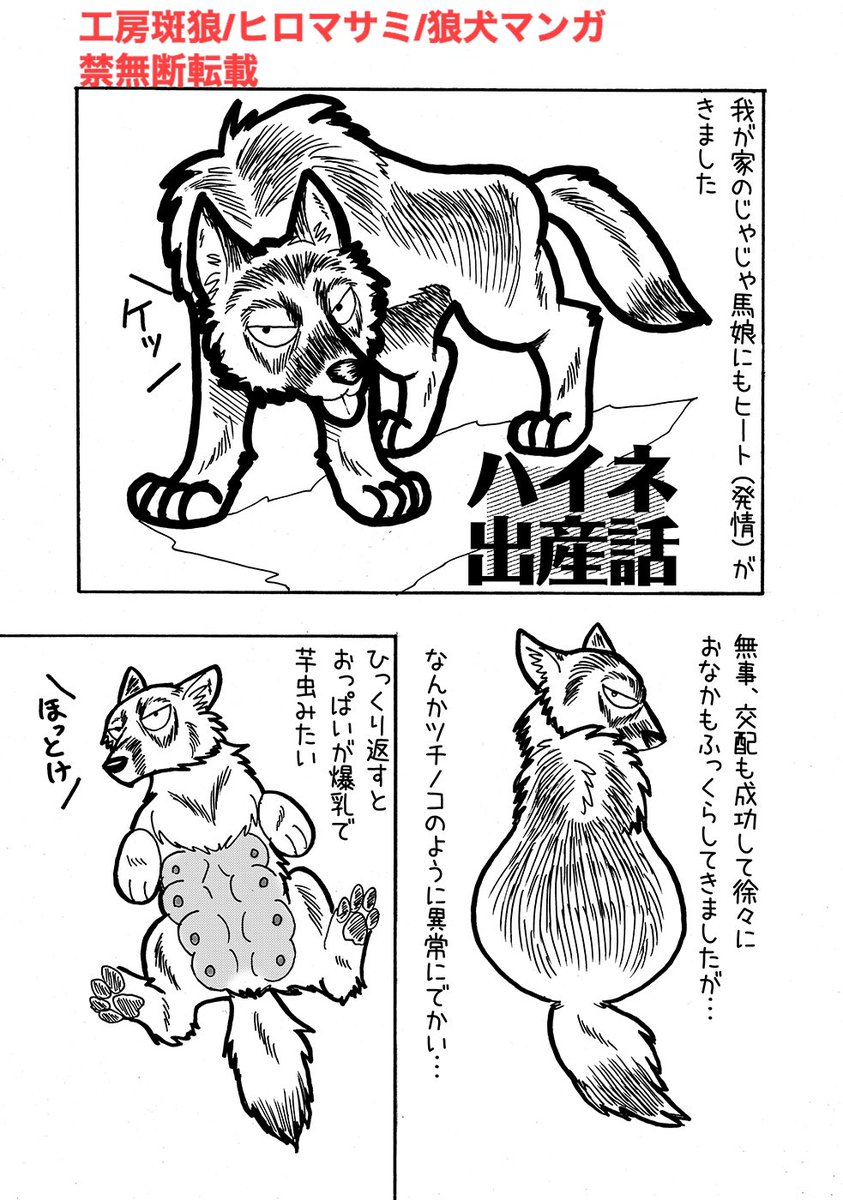 Twoucan オオカミ犬 の注目ツイート イラスト マンガ Twoucan オオカミ犬 の注目ツイート イラスト マンガ