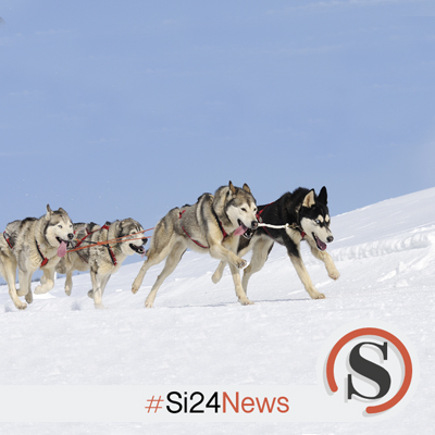 “Essere bravi non è abbastanza. Bisogna essere grandiosi!” 

SIMON COWELL

#buongiono #Si24 #Si24notizie #Si24news