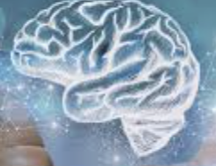 ecalixto's tweet photo. Cuatro opciones son las máximas que nuestro cerebro tiene ante un problema. No podemos procesar más. Ante un problema difícil, date 4 opciones para elegir la mejor solución.
#NocheNeuroTuits https://t.co/a19UUR2CMJ