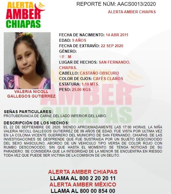 AlertaChiapas's tweet photo. Se solicita su apoyo para localizar a la menor Valeria de 09 años de edad, quien fue vista por última vez en el Municipio de San Fernando, Chiapas.

Cualquier información que ayude a su pronta localización, por favor comunicarse al número 018002202011. https://t.co/Z9GKizdL7B