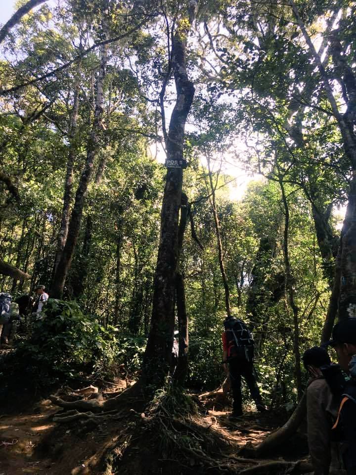 Mhmd_Sptr's tweet photo. Ini Negeri Kita disini kita di didik disini Pula kita merasa Bodoh.
#NegeriNgeri #Pembodohan https://t.co/tYFIBhKsIa