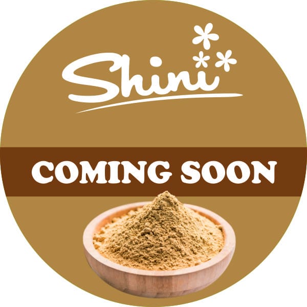 HomemadeShini's tweet image. 