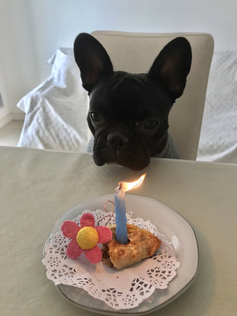 Ella es mi gorda mala ❤️