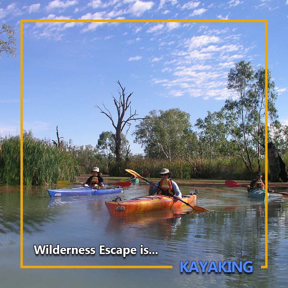 Wilderness Escape Outdoor Adventures tweet media