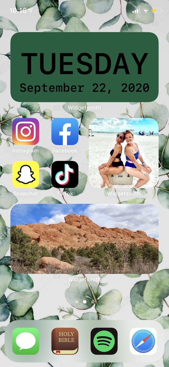 Em Schultz tweet media