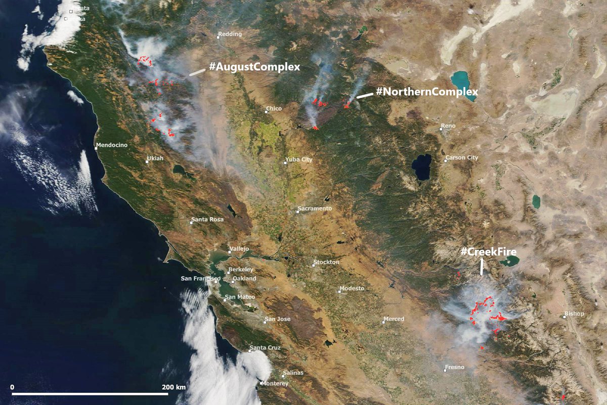 tonyveco's tweet photo. #CaliforniaFires update still relevant activity of the major #wildfires,but #California is quite clear in the @NASA #Terra #Modis image of Sep.22 #bayarea #AugustComplex #NorthernComplex #CreekFire #ClimateCrisis #ClimateAction @ai6yrham @NBCVianeyArana @nbcbayarea @kentphotos https://t.co/IwTrv4RByA