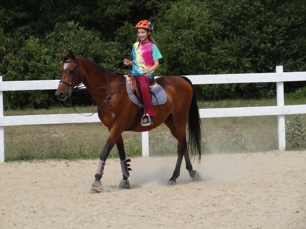 Here is a picture of Major with Kiera. (He loved giving rides to kids, because he was smart enough to figure out that kids are SMALL and LIGHT and EASY TO CARRY.)