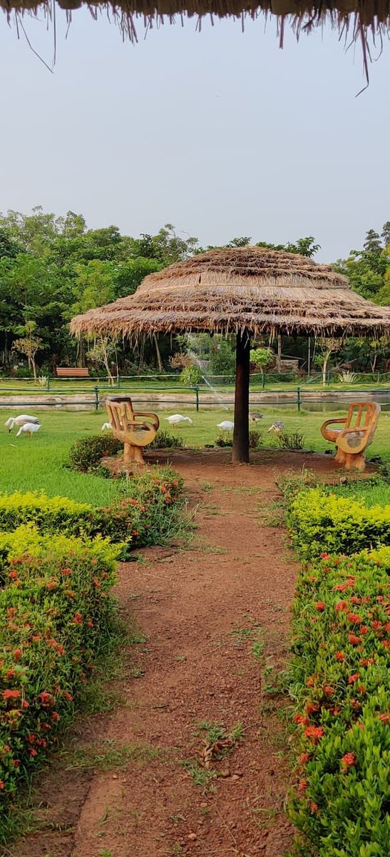 Place for the wondering souls.
Right in the heart of Bhubaneswar city-Jayadev vatica can sooth you down.
Department is creating urban forests across the state to provide recreational opportunities to the urbanites.
