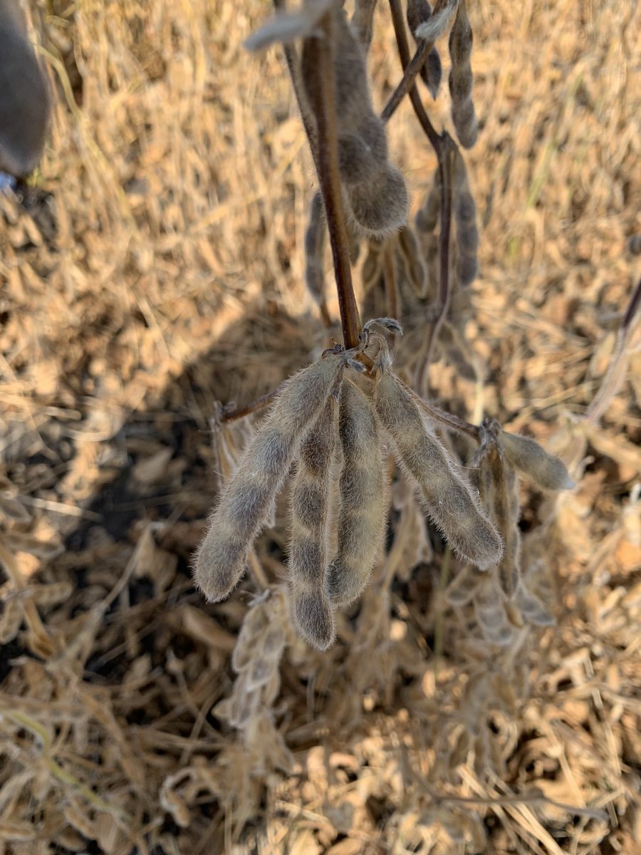 Keith Lendt tweet media