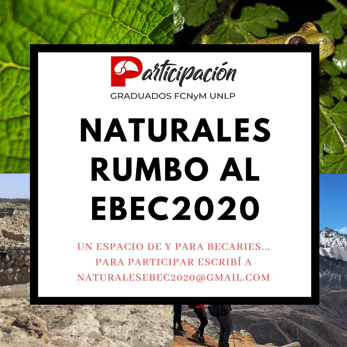 participaciongr's tweet photo. ¡Se viene el encuentro de Becaries de la @unlp !
y los de la @naturales_unlp ya se están organizando...
#ebec2020 #unlp #fcnym https://t.co/C0zFa3wWM2
