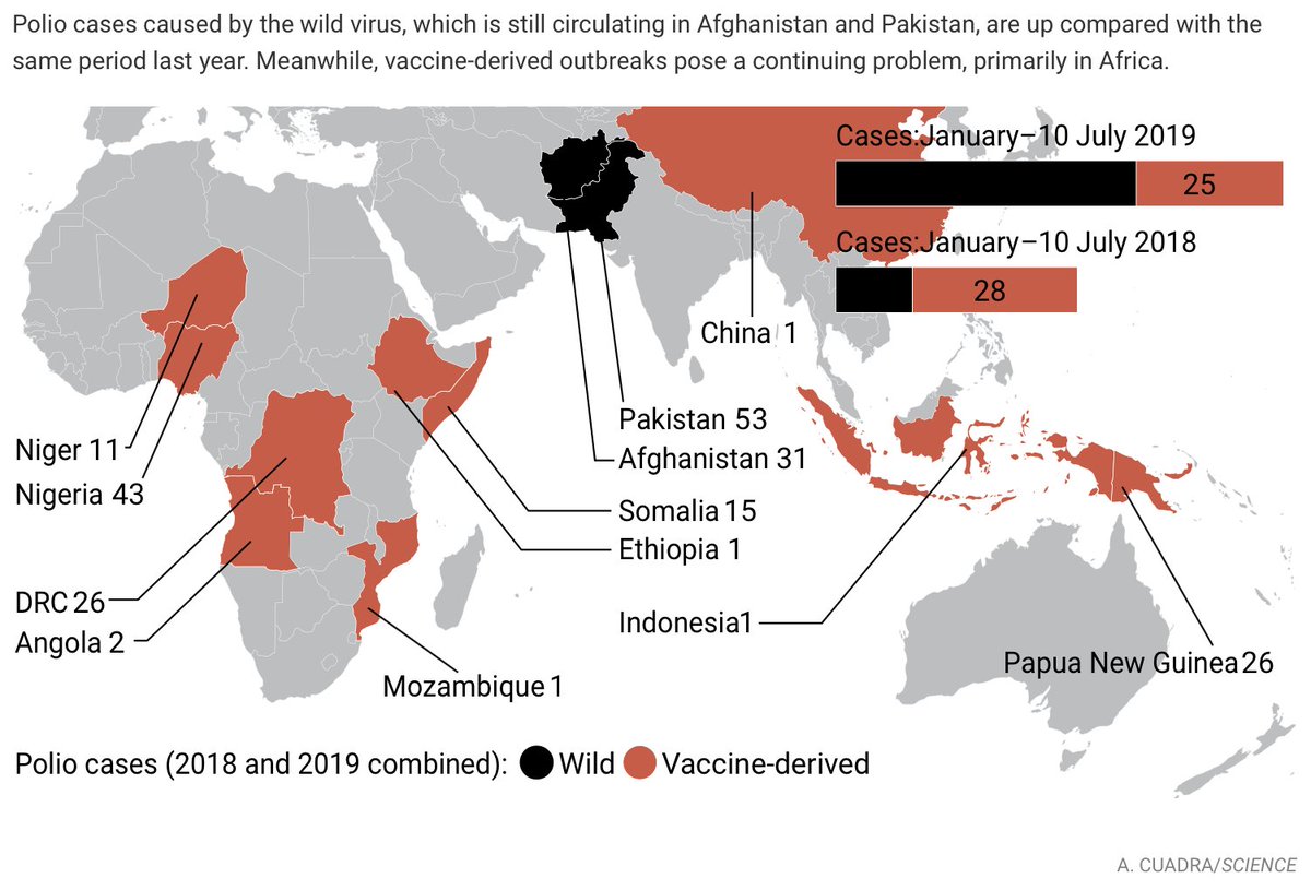 "The program had planned to eradicate polio from Pakistan and Afghanistan. Instead, almost four times as many cases have occurred there so far this year than in the same period in 2018" https://www.sciencemag.org/news/2019/07/surging-cases-have-dashed-all-hope-polio-might-be-eradicated-2019