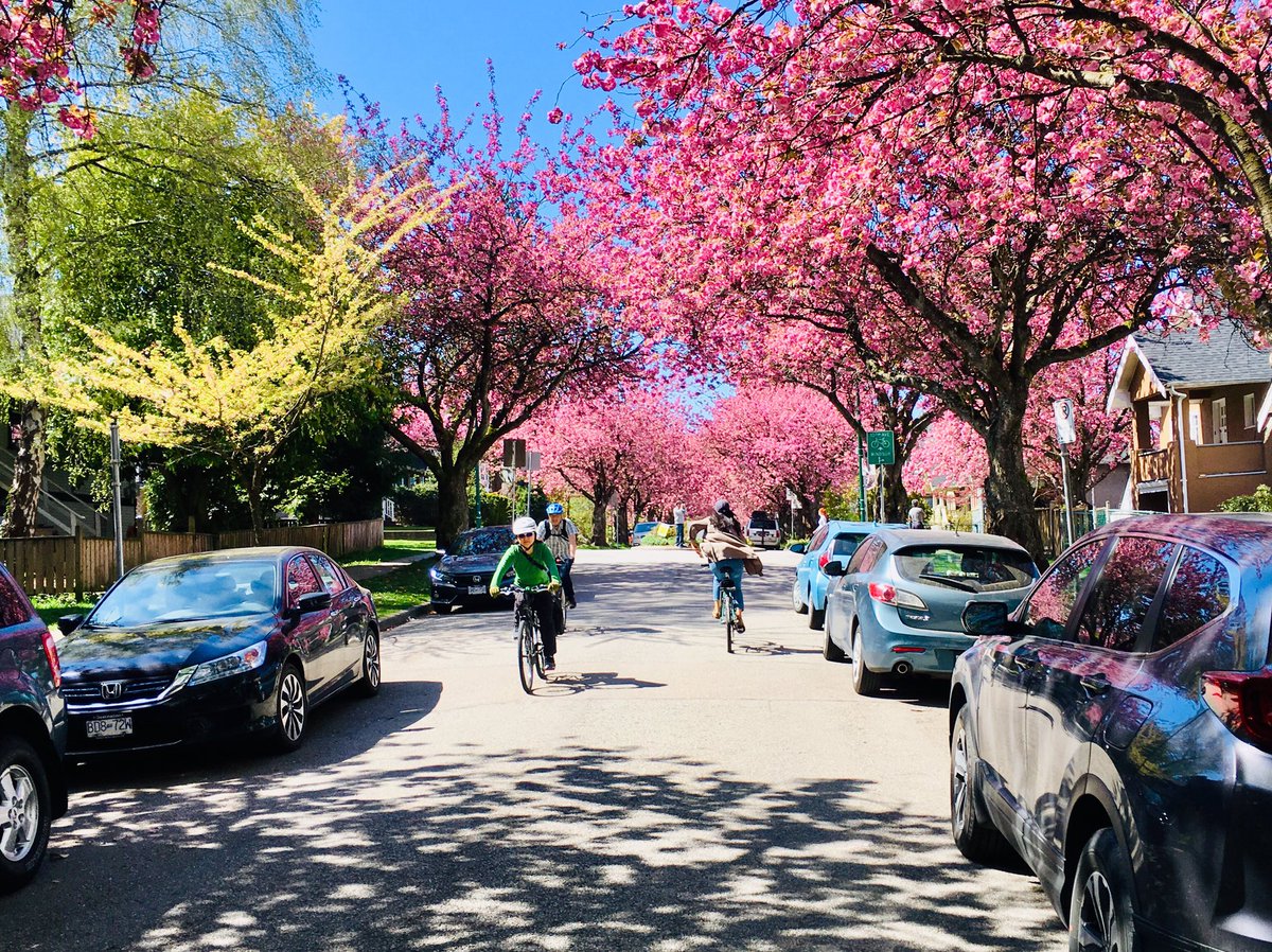 Mitchell Reardon tweet media