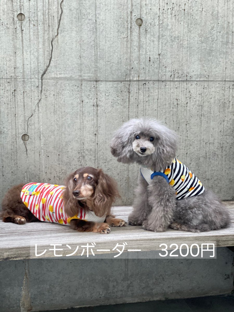 可愛い犬服 可愛い犬服