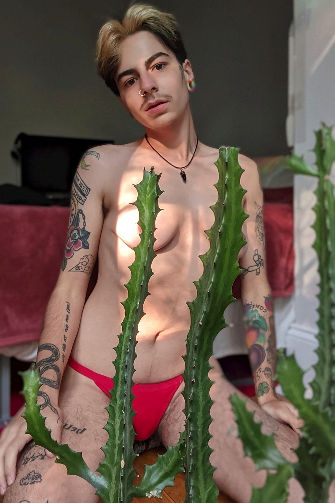 TW Pornstars - 2 pic. CJ 🥰. Twitter. cuddly as a cactus 🌵. 3:11 AM - 23  Sep 2020