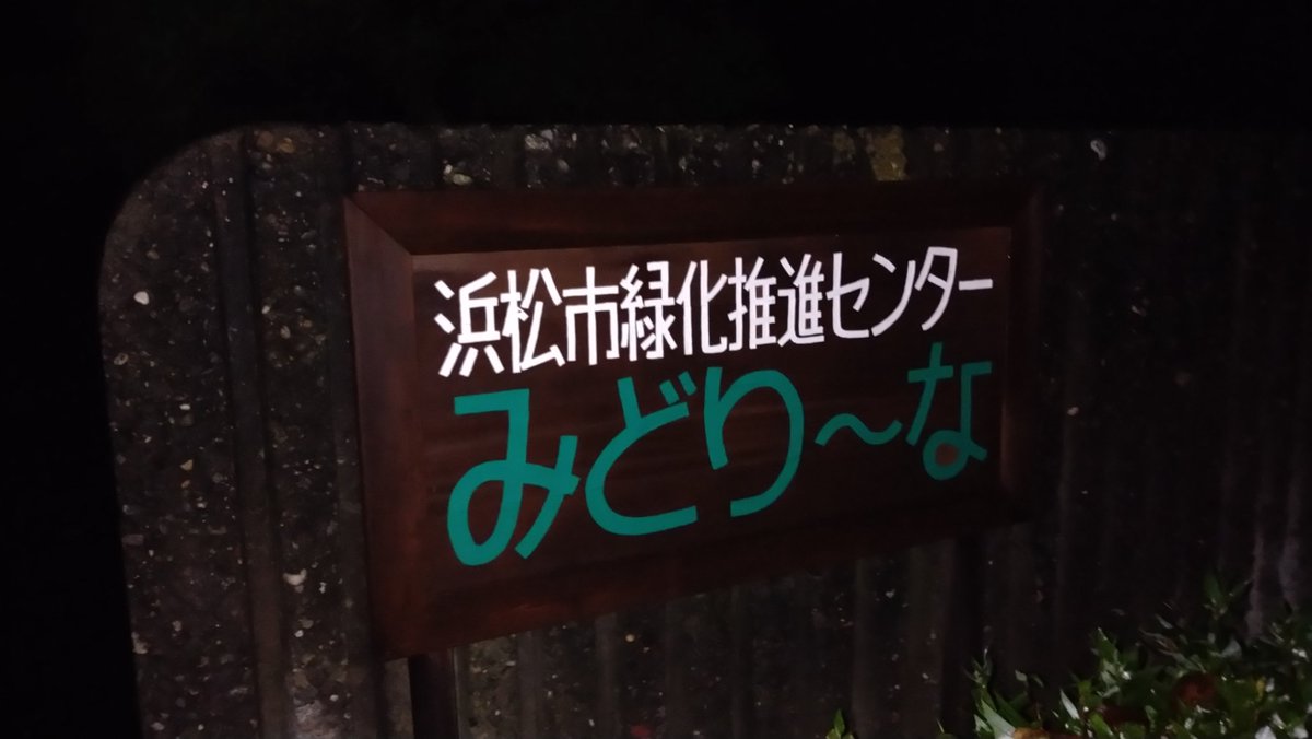調髪