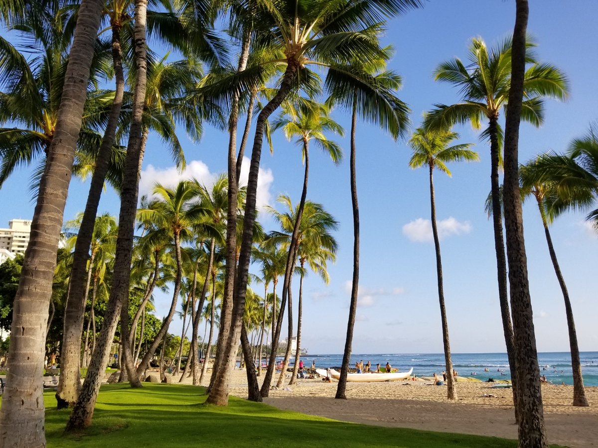 ninjaloha50's tweet photo. First day of Summ.....Fall  📷 #ActNowHonolulu #OurKuleana #NoSocialGathering #ActWithCare #DoNotGather #HoouluiHonolulu #SaferAtHome #Covid808 #SocialDistancing #WearAmask 😷...🚫...😷 https://t.co/JhZWVvb2Oa