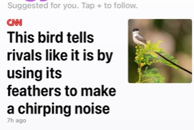 JMBFMNH's tweet photo. Scrolling through the news on your phone is so painful given the ineptitude and hypocrisy in Washington these days, but then you get to an article on CNN about your student Valentina Gomez's research and you see a little sanity. #fmnhscience https://t.co/kDW13xiMVD