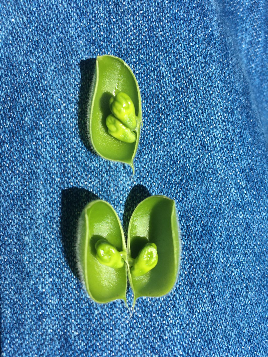 #Drummond Chickpeas getting to the end of flowering and podding up nicely.#TwoPeasinaPod @Pulse_Australia