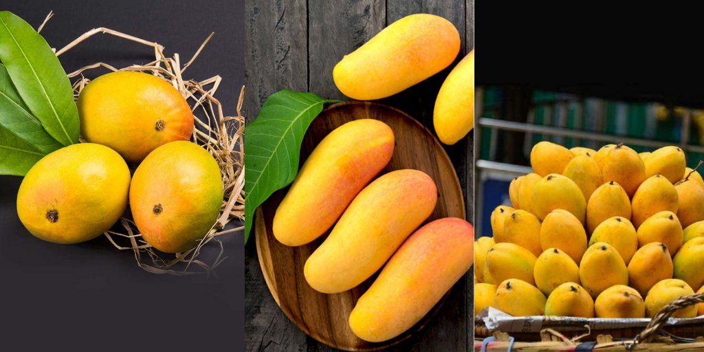 herzindagi's tweet image. #WebStories | जानिए आमों की कुछ खास किस्मों के बारे में

#mangovarieties #Mango #mangolovers

herzindagi.com/amp-stories/hi…
