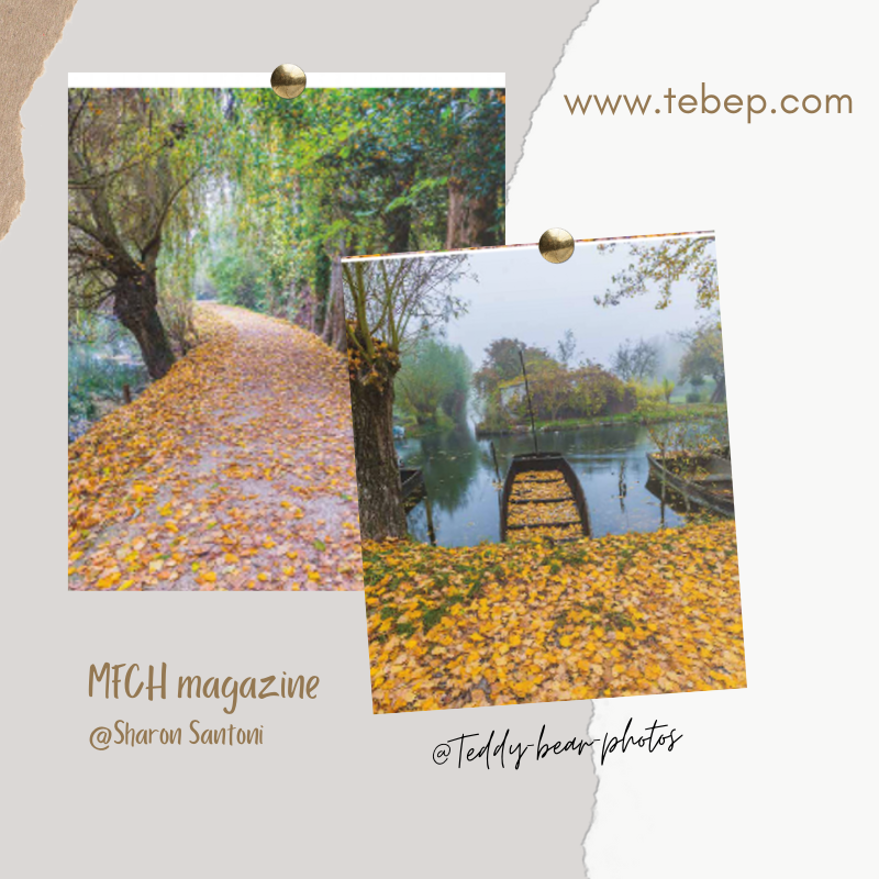 EnsembleTebep's tweet photo. Covered in fall foliage… Wonderful!🍂
#sharonsantoni
MFCH magazine Sept/Oct 20, Now on sale in https://t.co/755iGXFvj5

#Tebep #TuesBelleetPuissante #YouBeautiful #YouPowerful #woman #frenchstyle #Paris #fashion 
#myfrenchcountryhomemagazine #frenchcountry #fallvibes https://t.co/dEI3z6nQV3