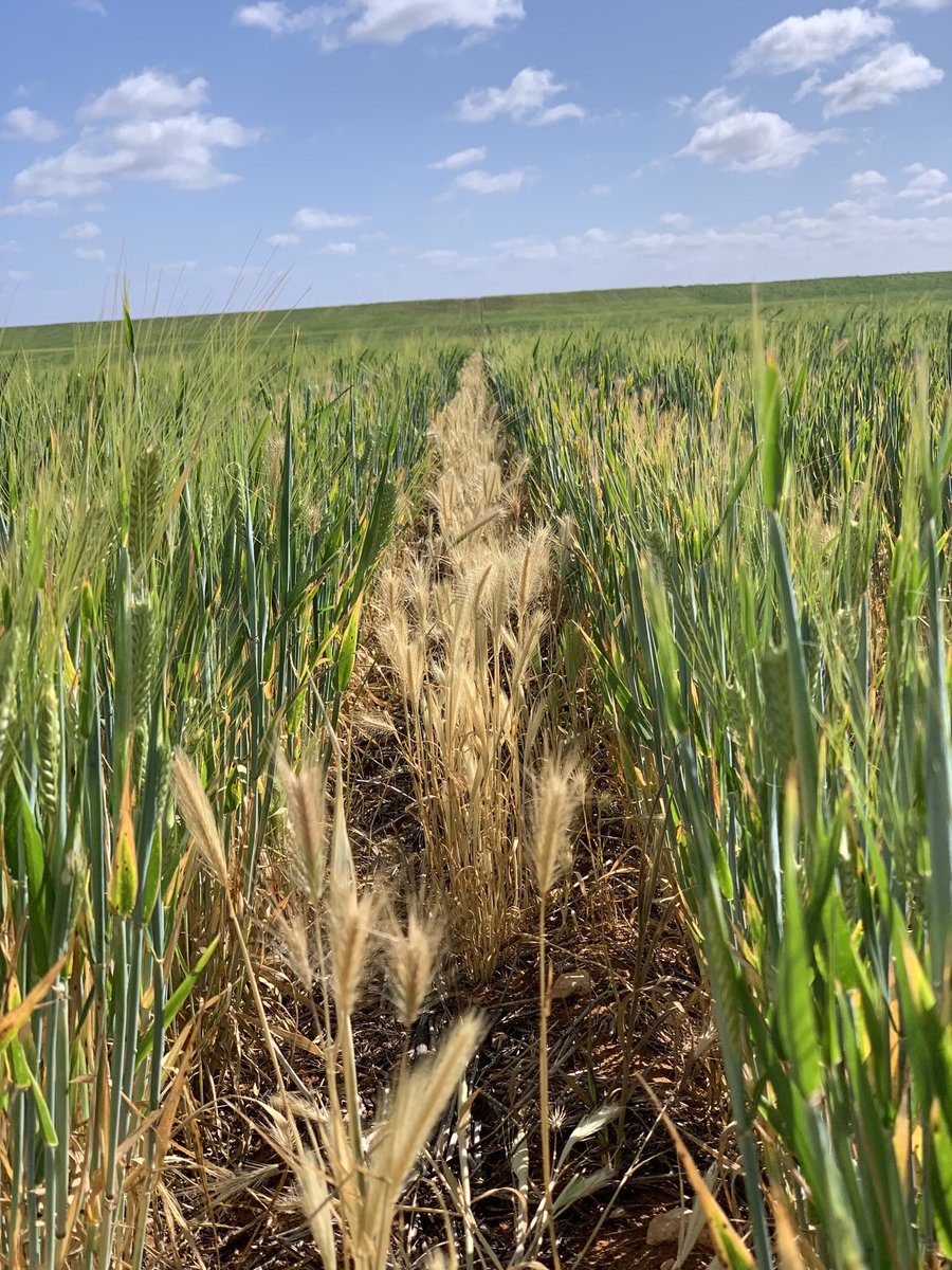 Rick Rundell-Gordon tweet media