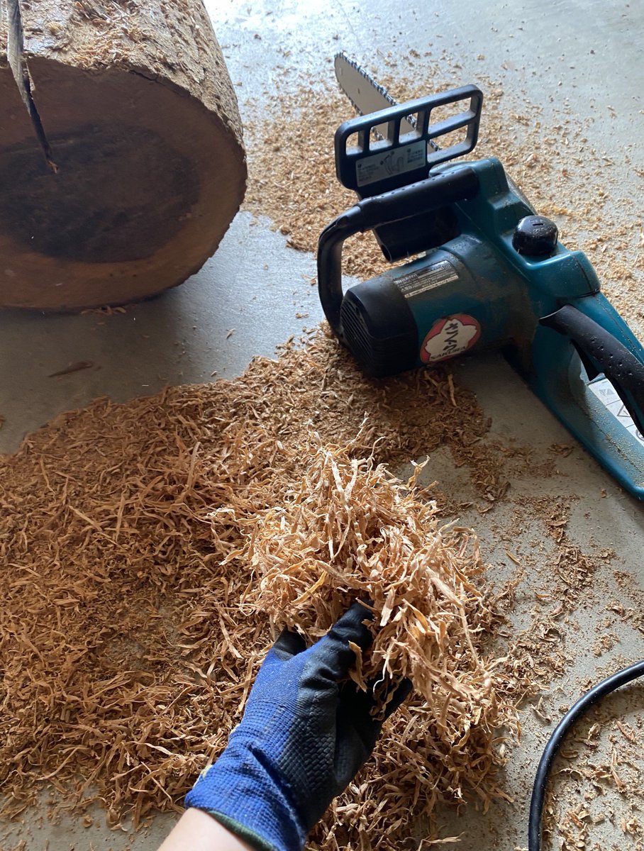 花房さくら V Twitter チェーンソーシャープナすごい ちょっと研いだだけで切味抜群に戻った 切屑が鰹節のようだ 今までは手やすりかけてたけど 逆に刃を丸くしちゃってたんだろうな