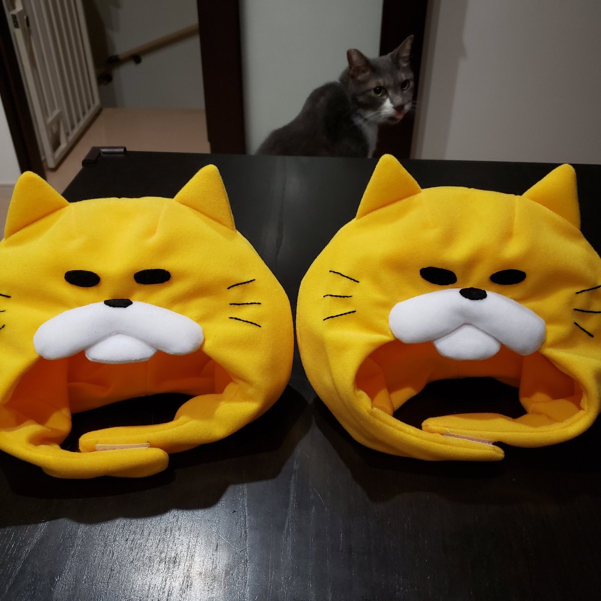 にゃん🐉🐈‍⬛ on X