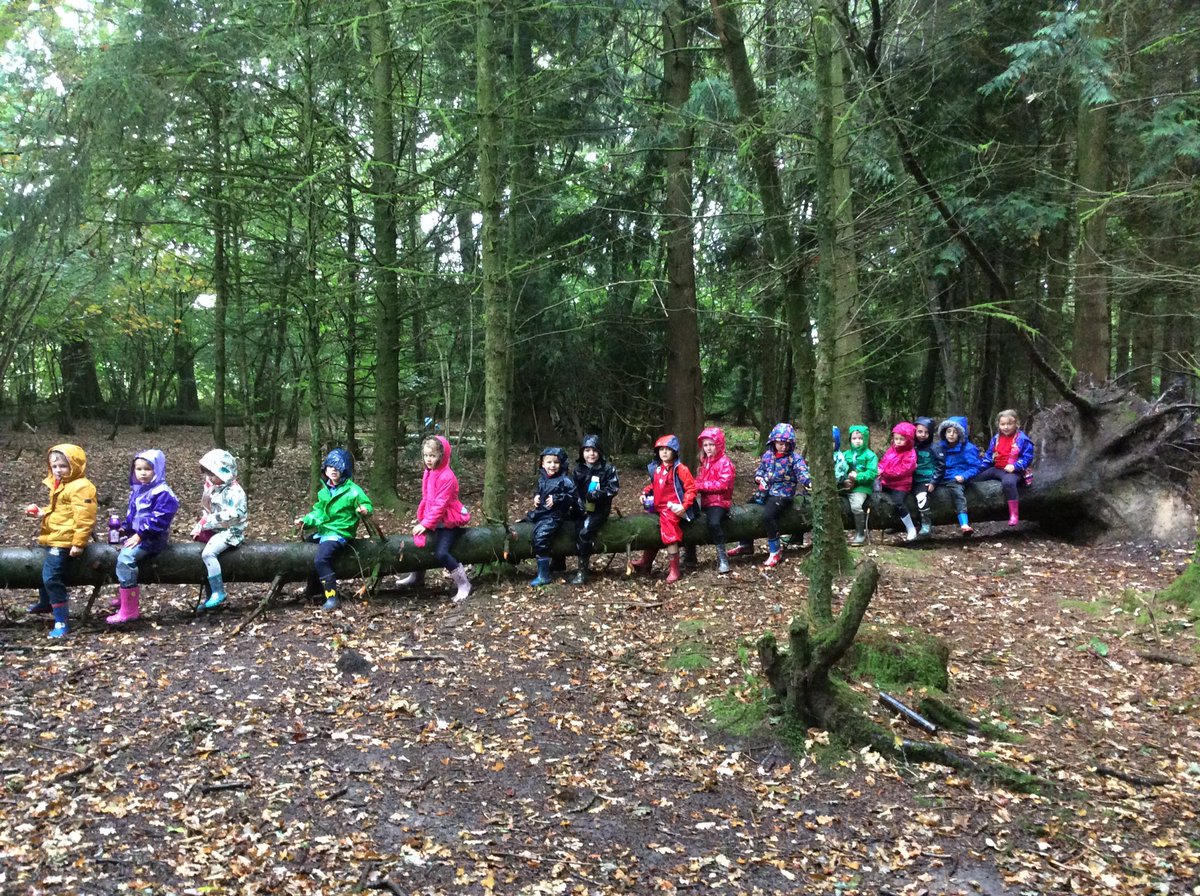 TrellechPrimary's tweet photo. Reception Class- first trip to Forest School. We were not going to let the weather dampen our spirits. We even did some meditation in the rain!!#outdoorlearning #easfoundationphase https://t.co/jssXnpWjHe