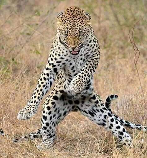 Muntumuyeza's tweet photo. Bra @tboseZA that voice note just reminded me off an advert "it's not inside its on top" ๐๐คฃ๐#KeepHimComingBackForMore https://t.co/FtAhxEBLR7