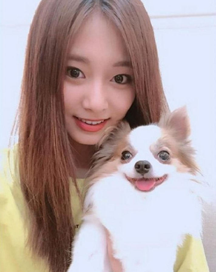 pinkot9's tweet photo. Rest in peace Gucci 😭💔 
Thanks for being Tzuyu's most precious companion. https://t.co/v5hcRMA6C3