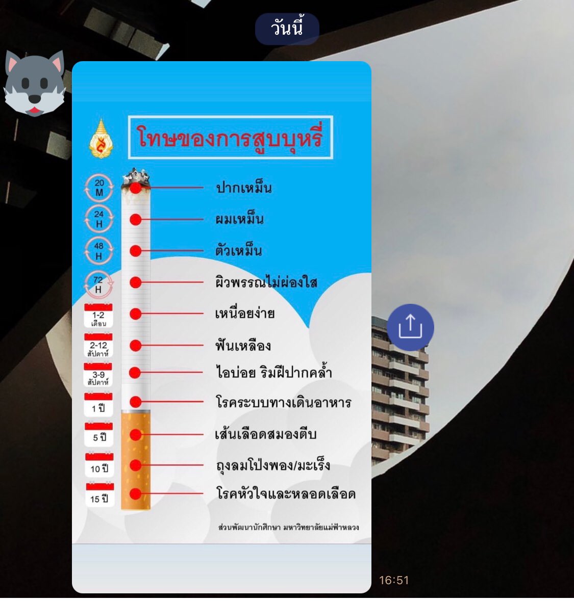แฟน tweet media