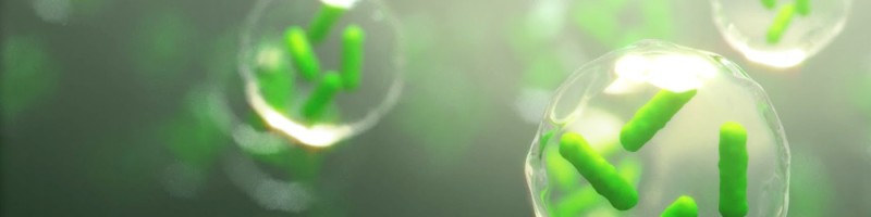 innuscience's tweet image. Read on to see how a leading retailer turned to InnuScience for the perfect solution.  ow.ly/QaAE50Bx5pK