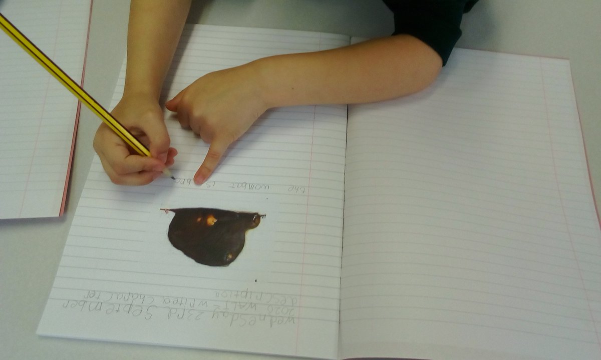 SilverBirchBV's tweet photo. It is our first Golden Write today, we are really excited to show how hard we have worked in our English lessons. I am very proud Silver Birch ⭐🏅⭐🥇Mrs Brown the children would love you to come and have a look @BucktonValePS https://t.co/z83gnojBE2