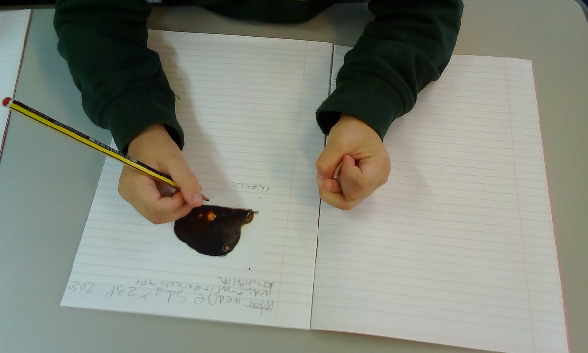 SilverBirchBV's tweet photo. It is our first Golden Write today, we are really excited to show how hard we have worked in our English lessons. I am very proud Silver Birch ⭐🏅⭐🥇Mrs Brown the children would love you to come and have a look @BucktonValePS https://t.co/z83gnojBE2