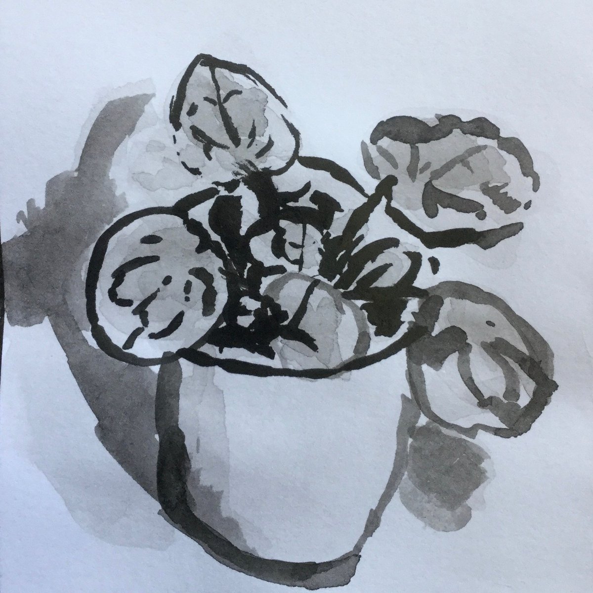 Staugart's tweet photo. Our 11+ Art Scholar Ivy has been taking an online course at the Royal Drawing School, which has allowed her to experiment with different materials, including charcoal, watercolour and ink at different scales.  These are just a few of her creations! Thank you Ivy! @staugustinesp https://t.co/OhyR8qf7u3