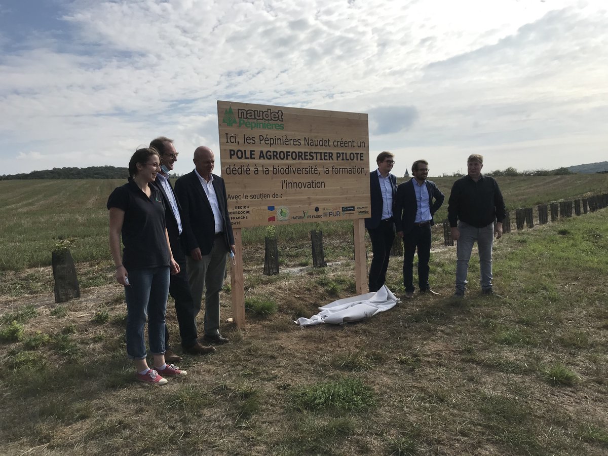 SavoirFrench's tweet photo. Au cœur du @parcnationalFCB, 11e parc national français, inauguration du pôle agroforestier des #PépinièresNaudet à #Leuglay hier. Intérêt de ces techniques anciennes et de bon sens, pratiques innovantes pour #biodiversité #bienêtreanimal, #diversification captation du #carbone https://t.co/hHh15q8vsd
