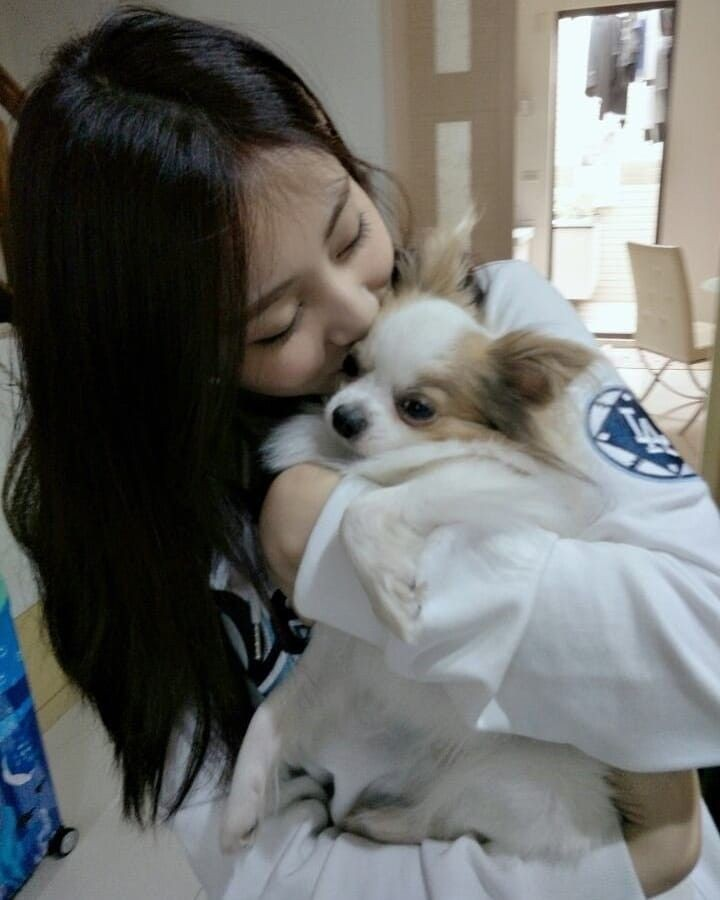 oncetwicebrasil's tweet image. Na última postagem no Instagram a Tzuyu informou que o Gucci faleceu. Obrigada por ter sido parte da família da Tzuyu por quase 11 anos, descanse em paz 🖤

@JYPETWICE