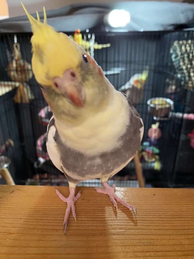 Mom forgot that she had lipstick on...again (sigh) 🙄 - Peachy