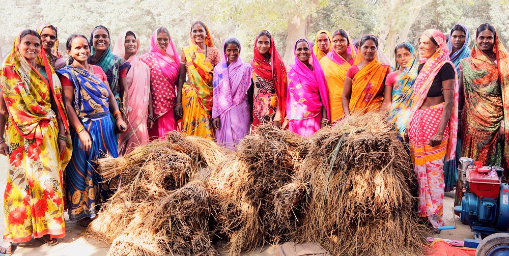 ricetoday's tweet photo. Incentivizing #rice #farmers in general—and #women farmers in particular—can serve as a potential means to adopt #agricultural #technologies that have the potential to boost rural economy and enhance #foodsecurity. https://t.co/eGB6S5KKw5 #IRRI60 https://t.co/Bj01gvII90