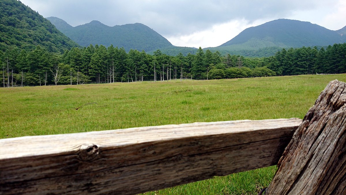 光徳牧場