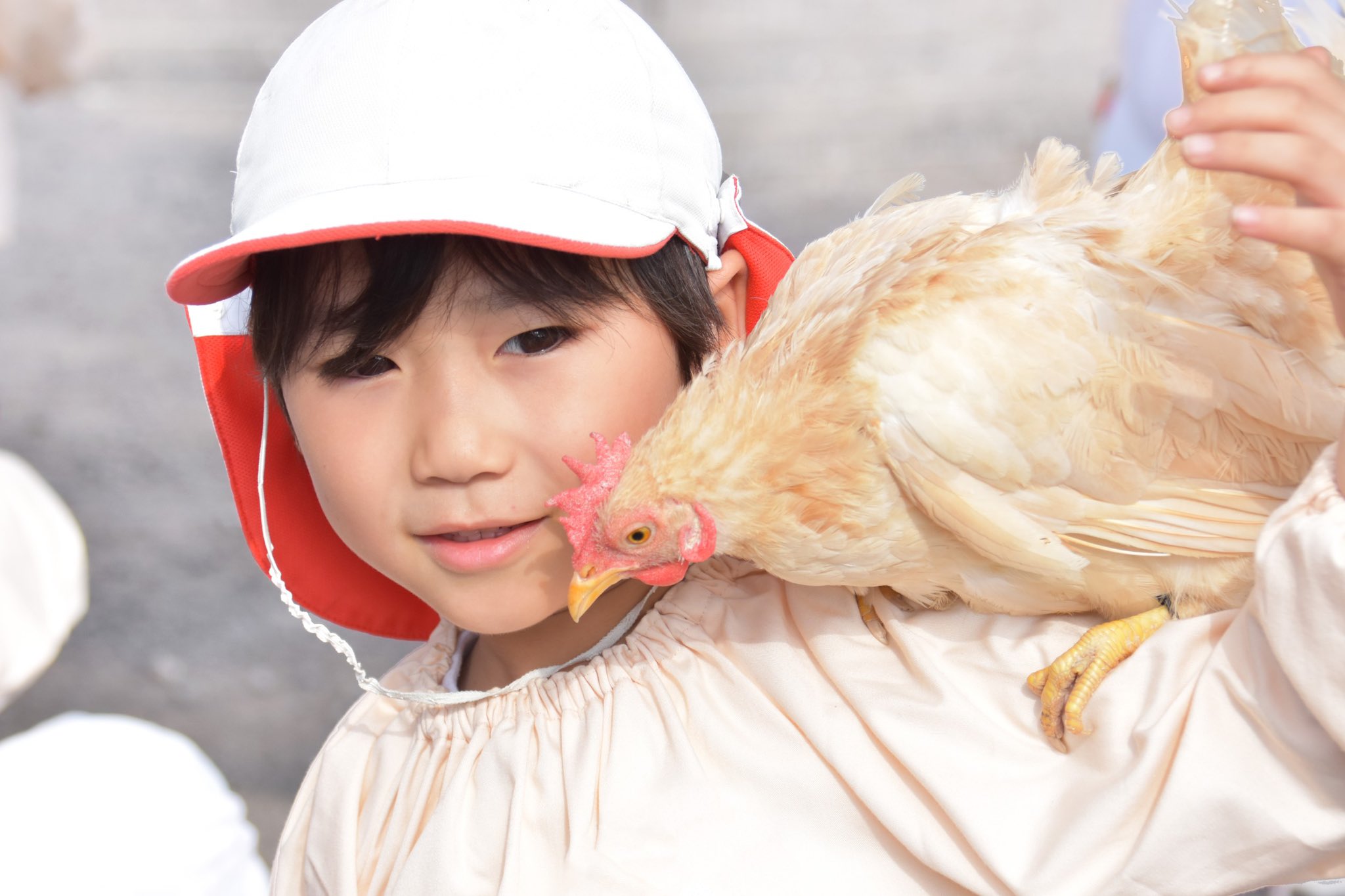 前村隆之介 2年前 の 懐かしのすけ でこんばんは 動物は大体好きな隆之介ですが 写真を振り返るといろんな鳥と一緒に映ってるものがあって 鳥使いみたいな感じでおもしろいです また動物とふれあって遊びたいなぁ にわとり T Co 前村隆之介 2年前 の 懐かしのすけ でこんばんは 動物は大体好きな隆之介ですが 写真を振り返るといろんな鳥と一緒に映ってるものがあって 鳥使いみたいな感じでおもしろいです また動物とふれあって遊びたいなぁ にわとり T Co