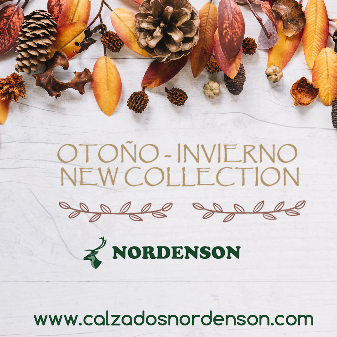 Nordenson_com's tweet photo. Nuestras tiendas se llenan de #Novedades. ¡¡¡Ya ha llegado la #NewCollection!!! 🍂🍁🌰🌰🍂🍁🍄🍄 https://t.co/UbymkCfkZy
