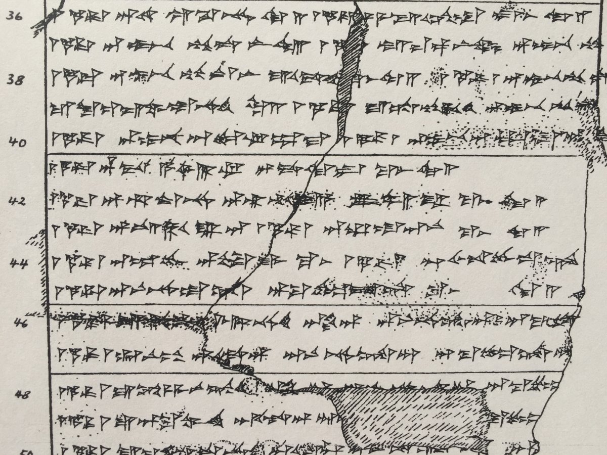 Universität Mainz tweet media