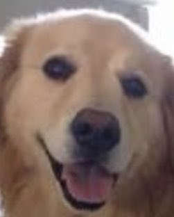 The Curious Mind of Venkman tweet media