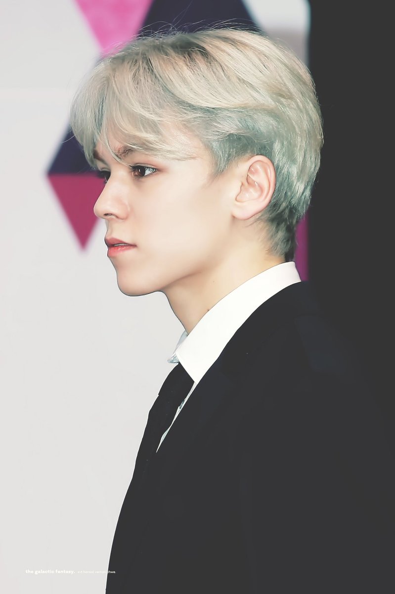 취향의 버논 (@nano_vernon) on Twitter photo 