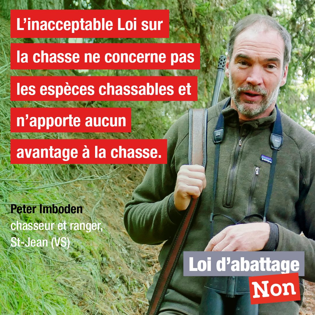 Loi d'abattage - NON! tweet media